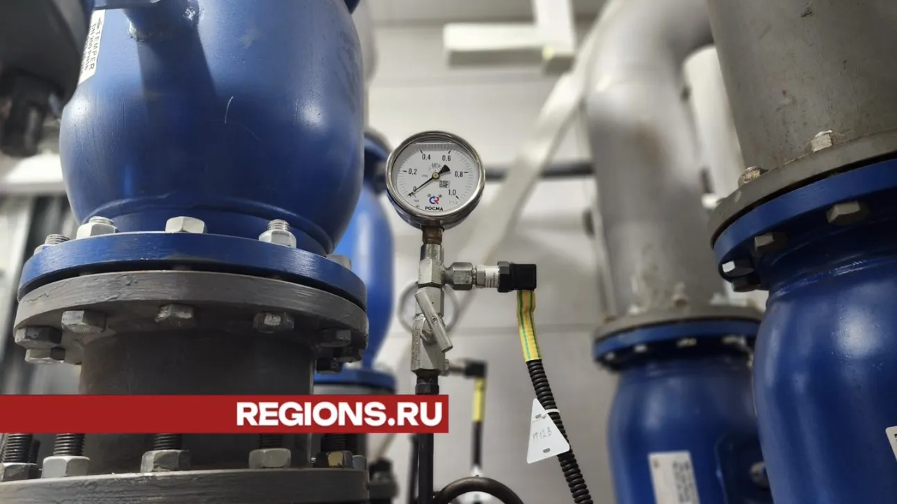 Фото: Светлана Плотникова