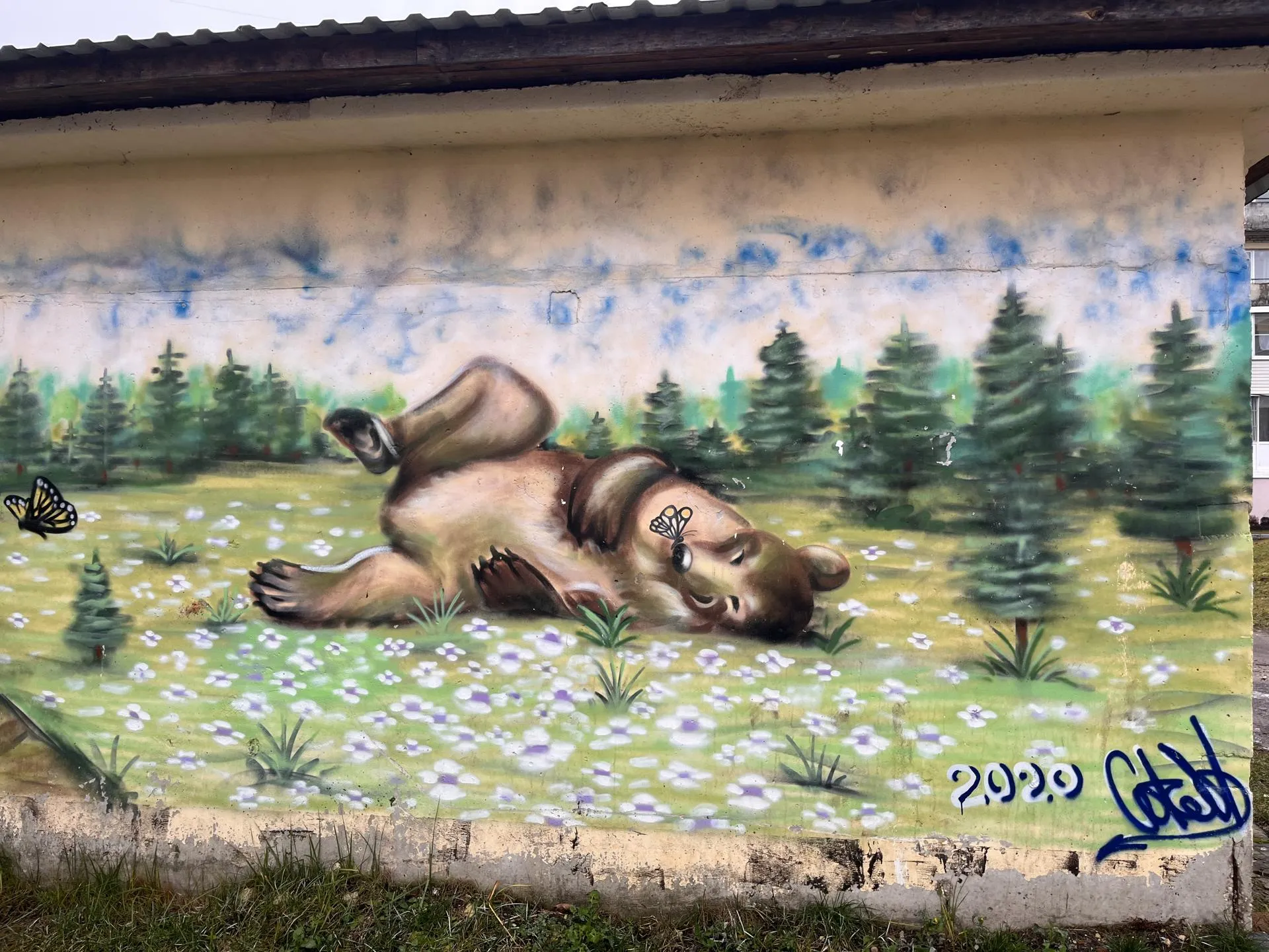 Фото: МедиаБанк Подмосковья/Ангелина Стельмух