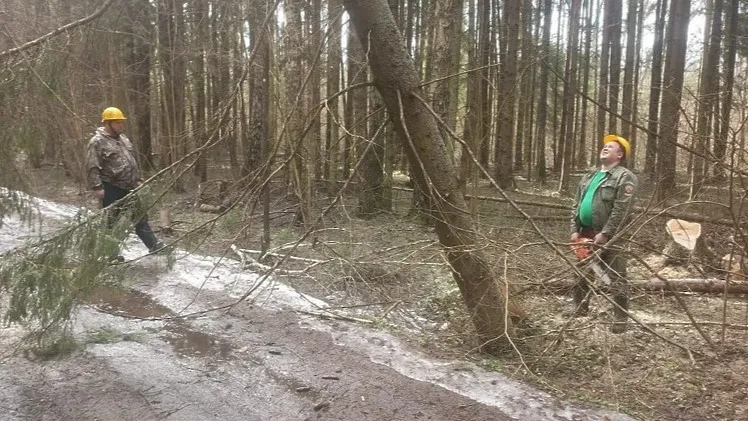 Фото: администрация Можайского городского округа