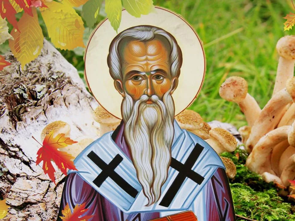 «Не впадать в суеверия»: чего нельзя делать в день Тита Листопадника