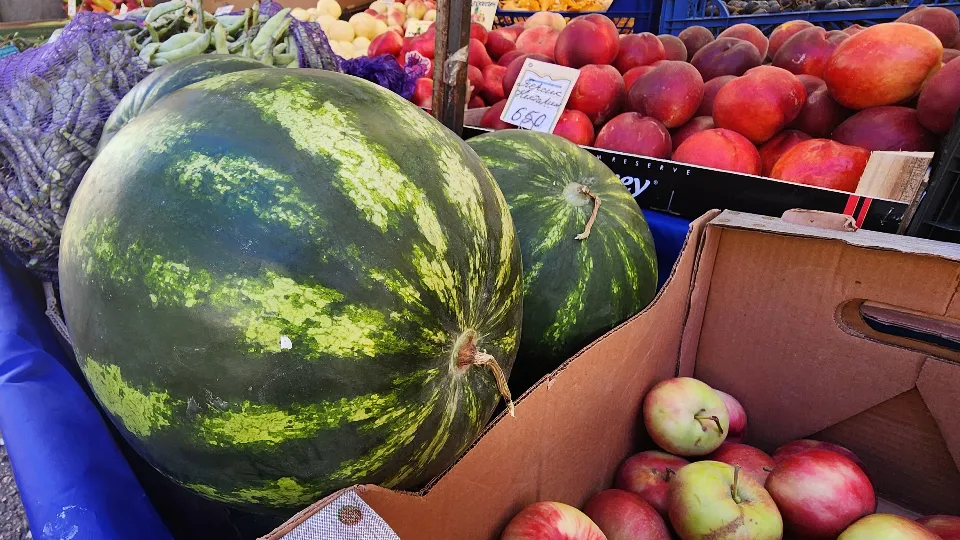 Фото: МедиаБанк Подмосковья/Валентина Максимова