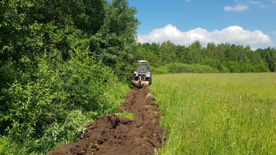 Фото: Комитет лесного хозяйства Московской области