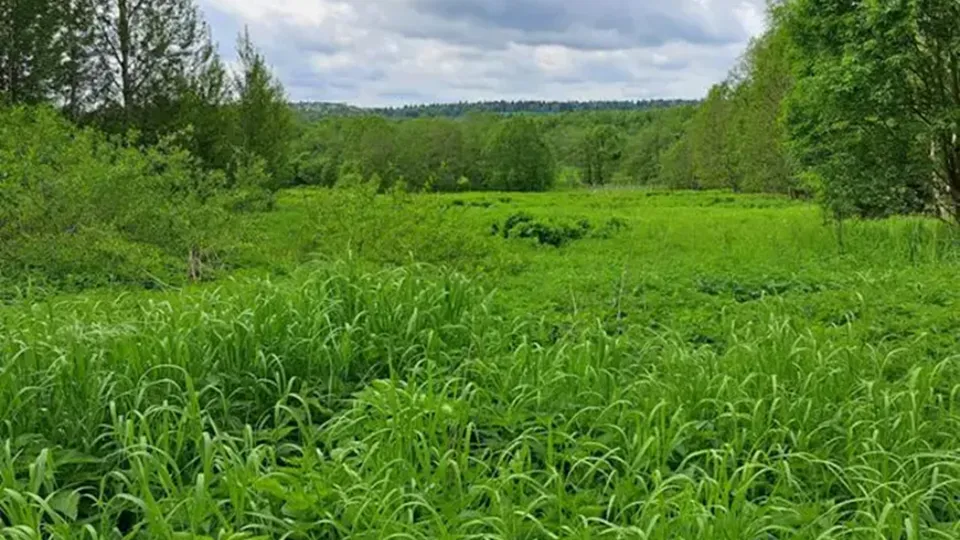 Фото: Единый портал торгов Московской области