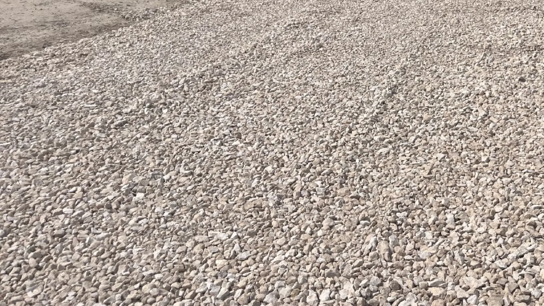 Фото: МедиаБанк Подмосковья/Ангелина Стельмух