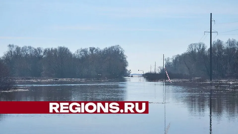 Фото: пресс-служба администрации городского округа Луховицы