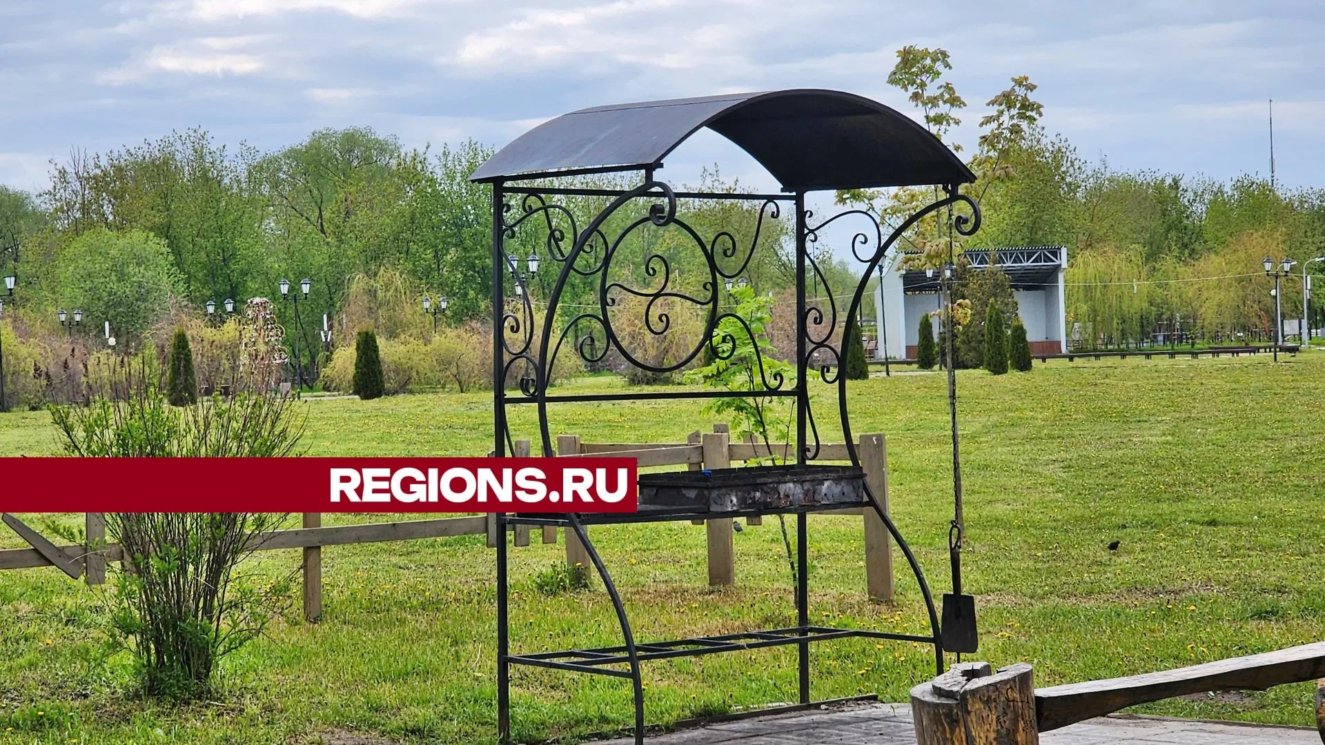 Фото: Александр Степушкин