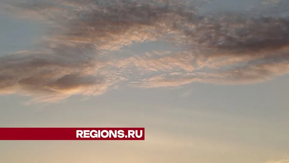 Фото: REGIONS/Юлия Куделькина
