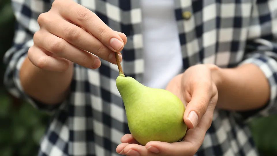 Фото: istockphoto.com