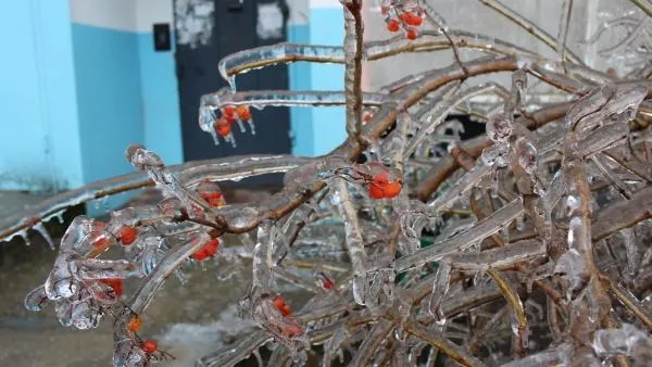 В Башкирии ожидается ледяной дождь