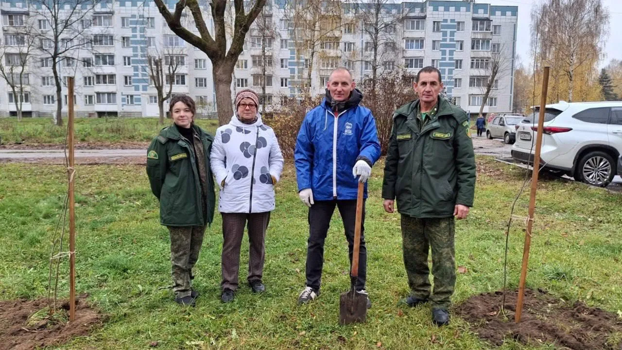 Фото: Комитет лесного хозяйства МО