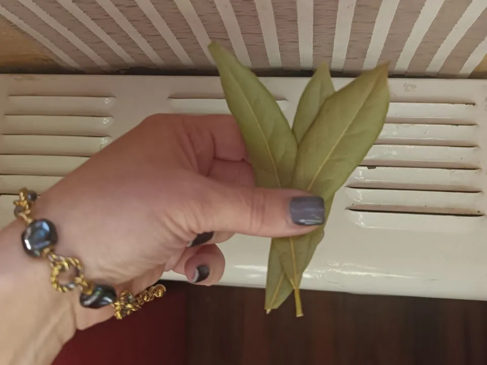 Фото: REGIONS/Наталья Фомина