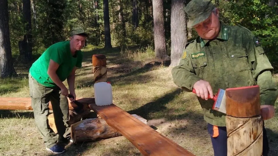 Фото: Комитет лесного хозяйства МО