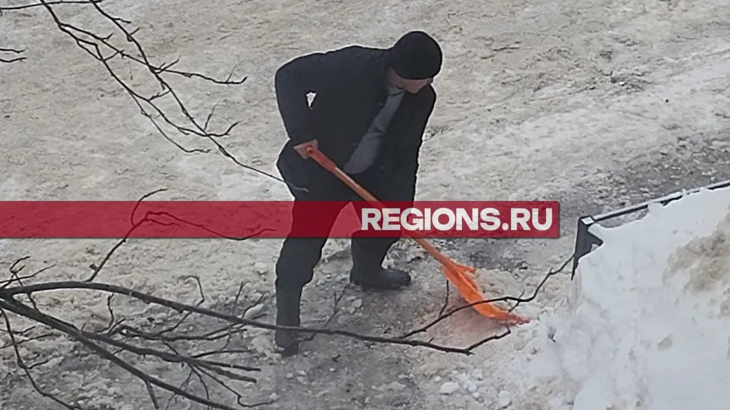 Фото: Роман Яковлев