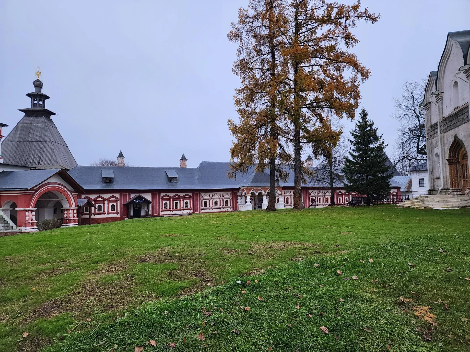 Фото: Хавива Фонина