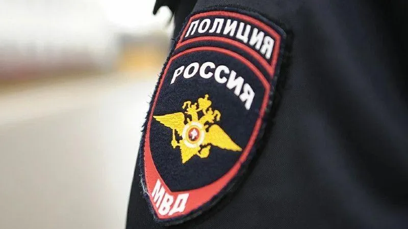 Женщина пыталась украсть телефон у отдыхающих на пруду в Домодедово
