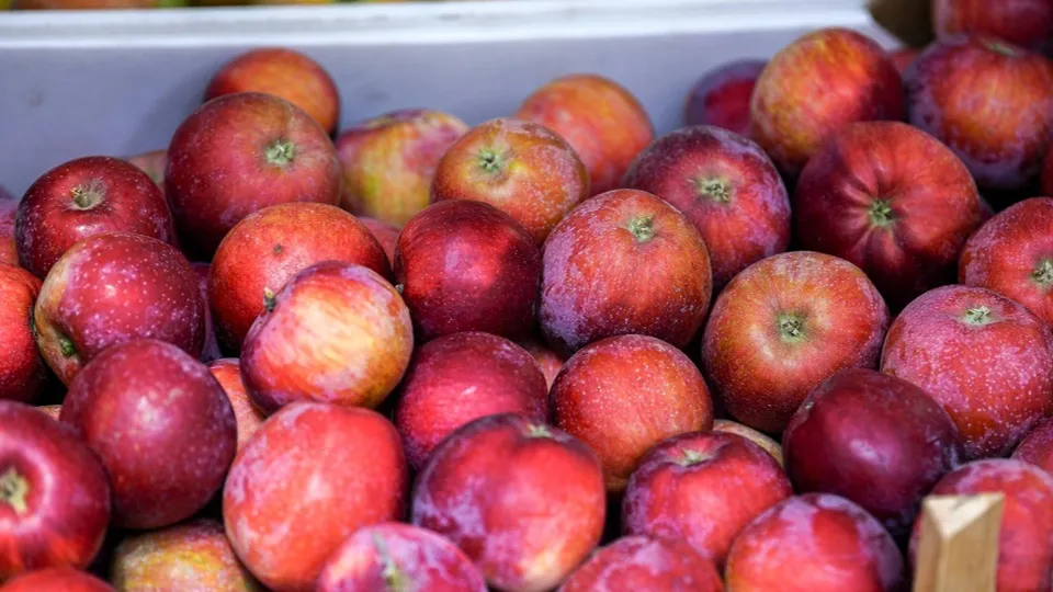 Фото: пресс-служба Администрации г.о. Химки