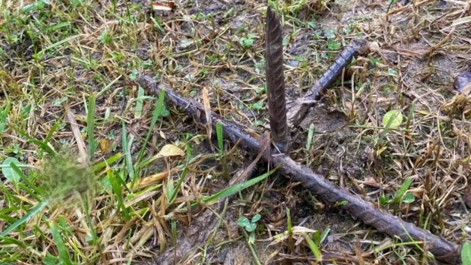 Фото: t.me/zvenigorod_zdraste