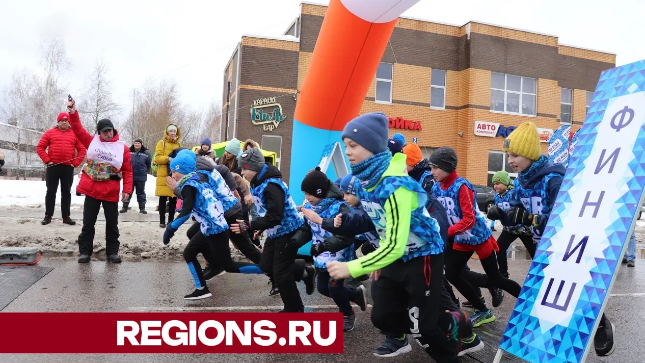 Фото: Василий Тремасов