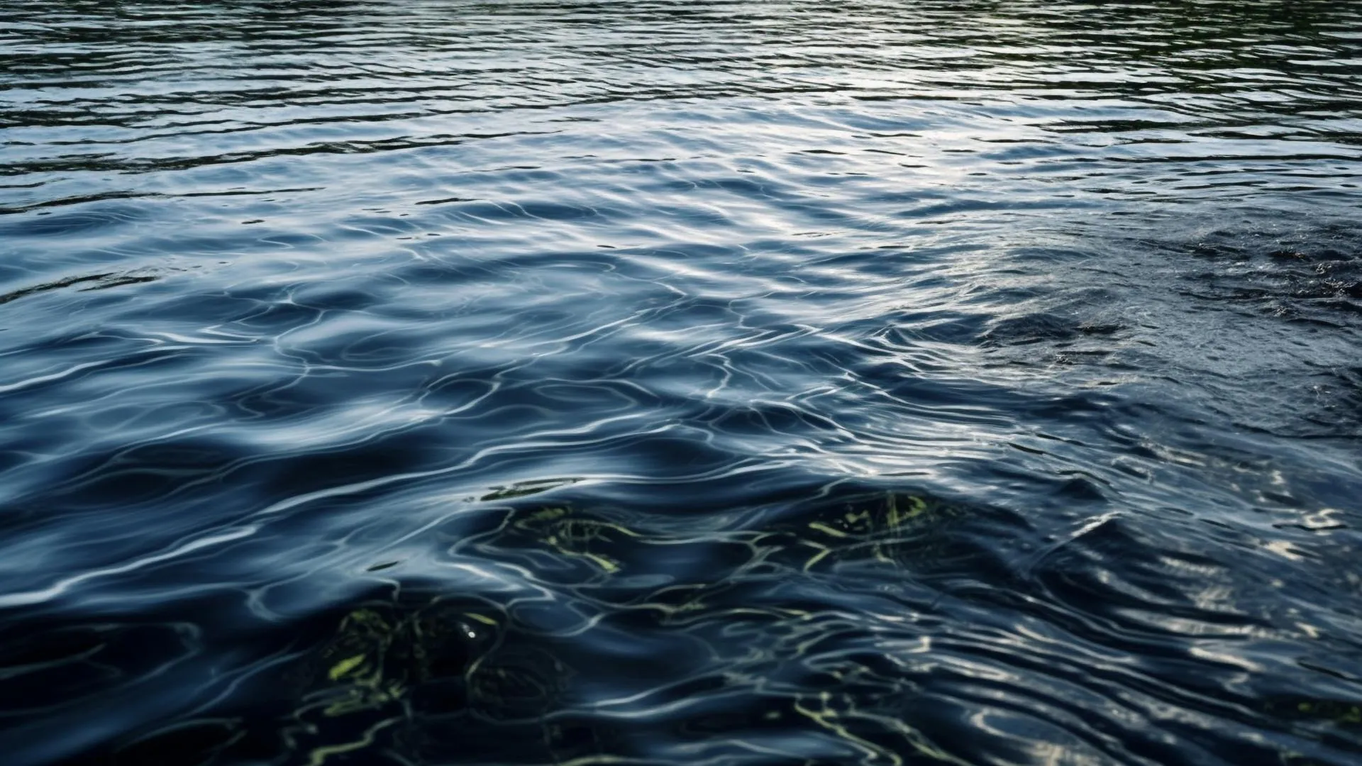 медиасток.рф