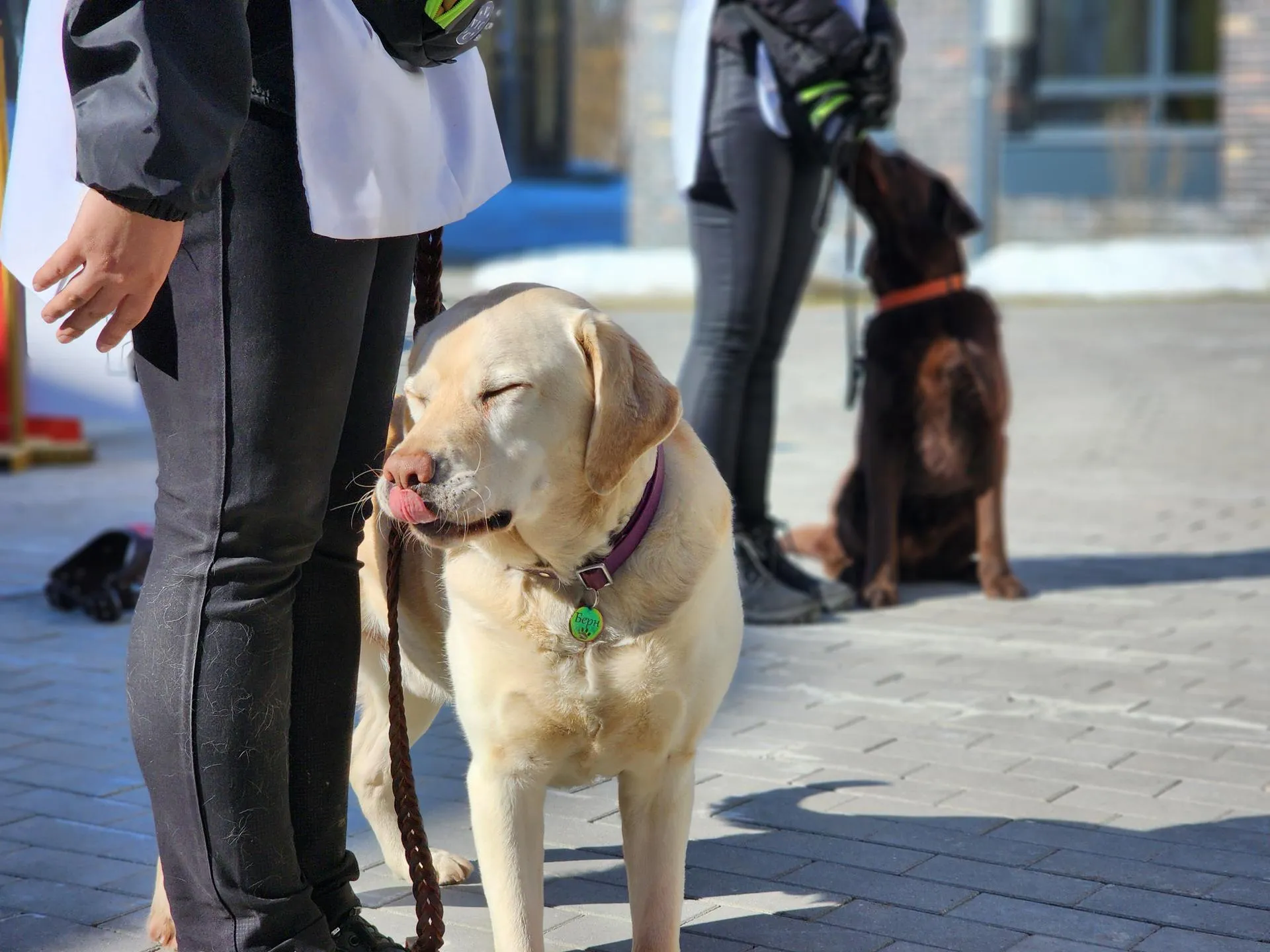 REGIONS/Елена Шумакова