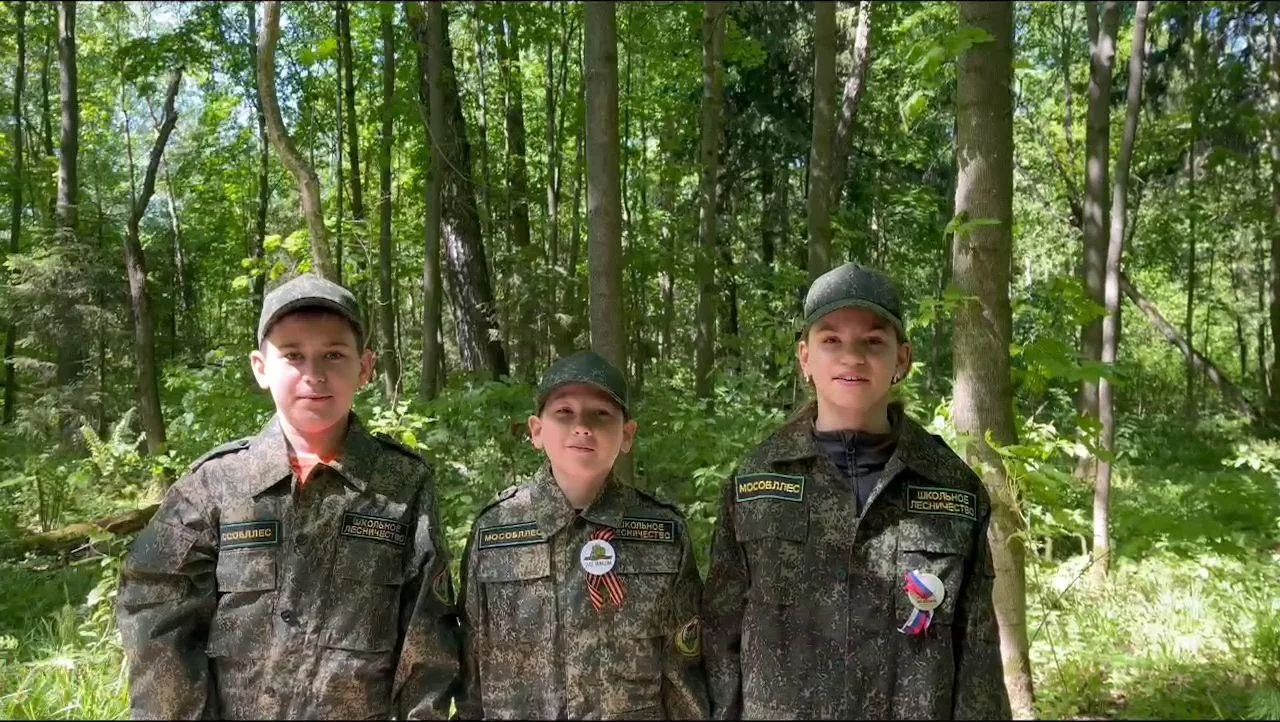 Источник: Комитет лесного хозяйства Московской области