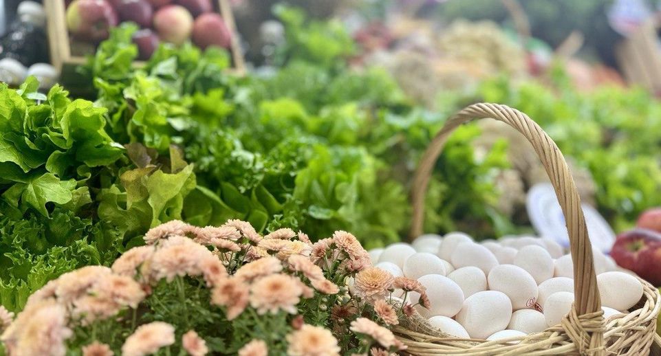 Подмосковье вошло в топ-3 регионов по числу производителей органической продукции