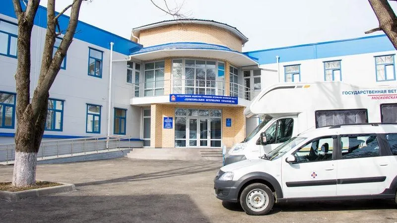 Уже 80 тыс животных привили от бешенства выездные бригады в Подмосковье