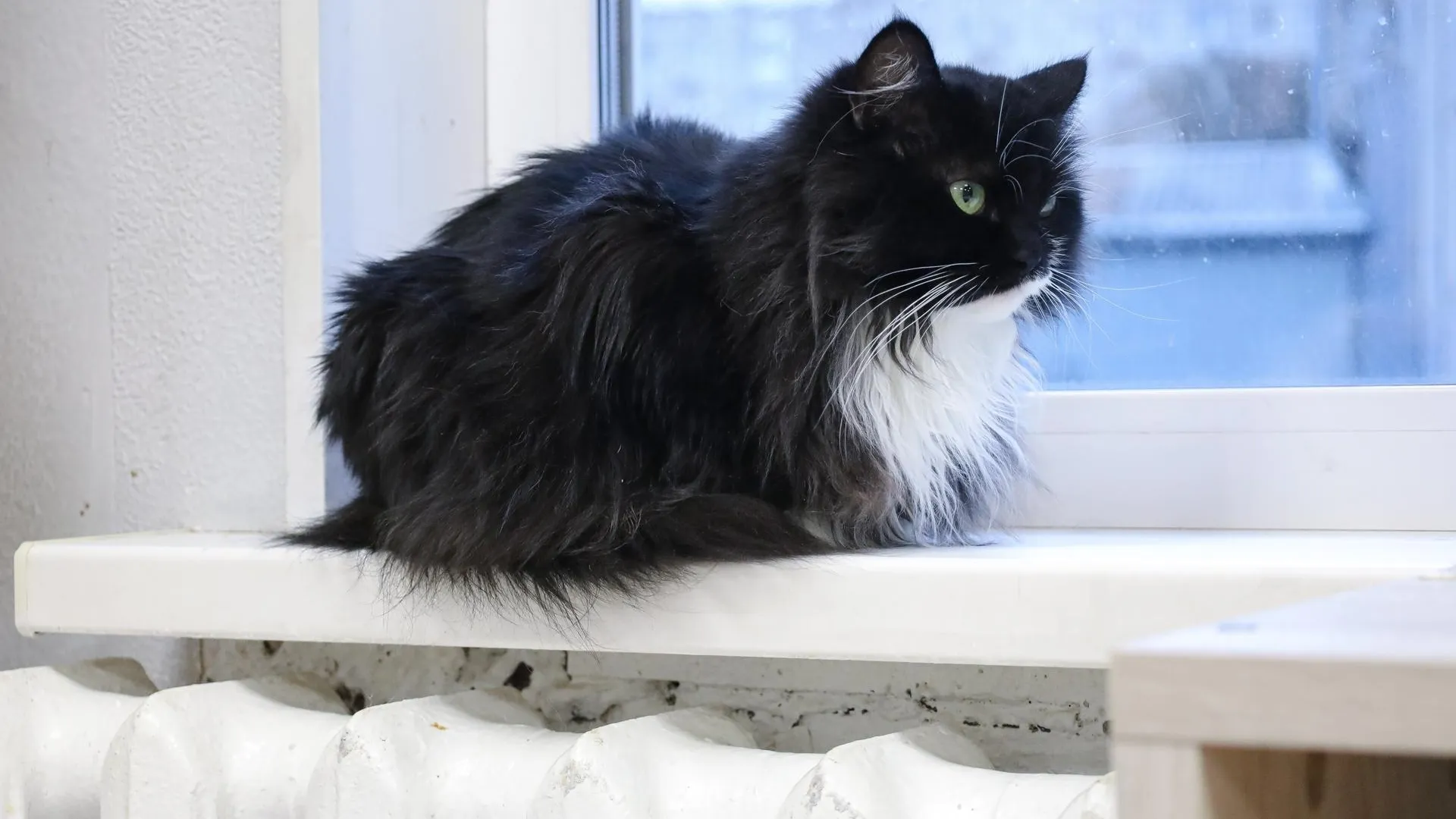 Elena Mayorova/Global Look Press