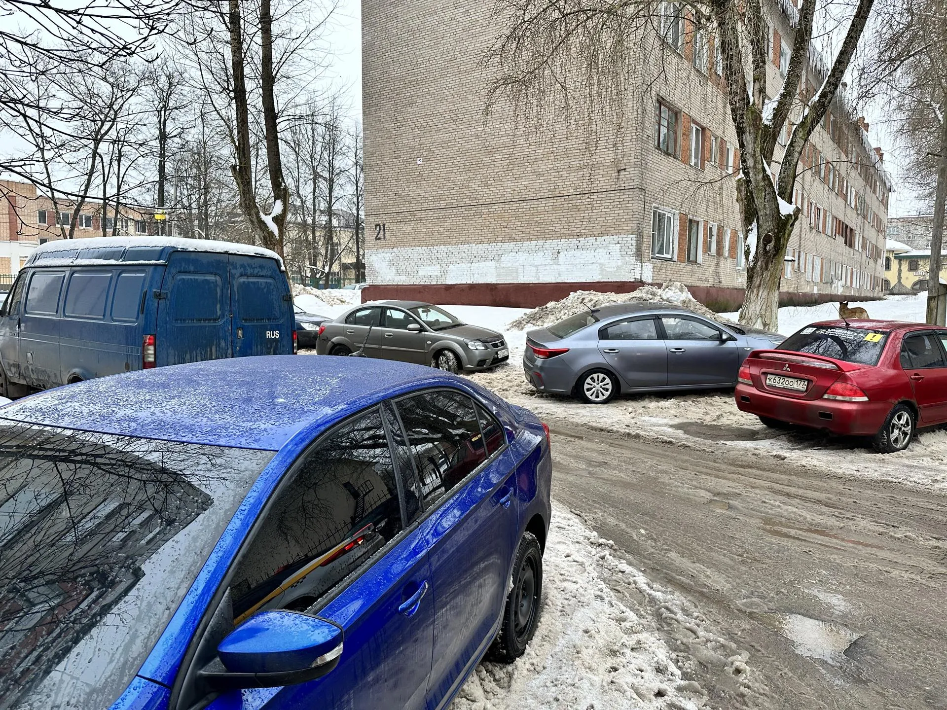 Лилия Закирова