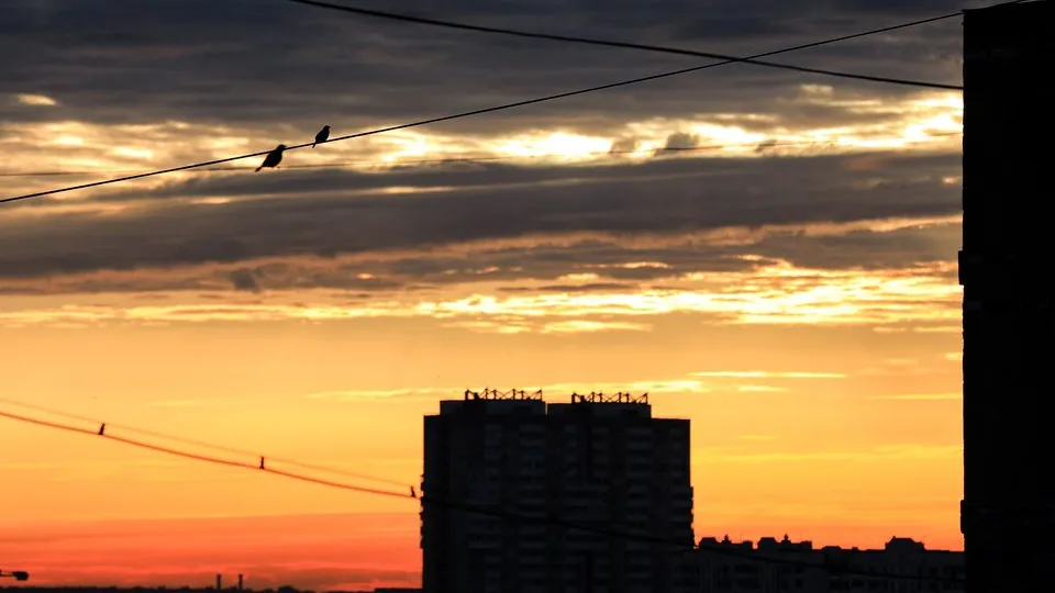 Фото: ТАСС/Алена Бжахова