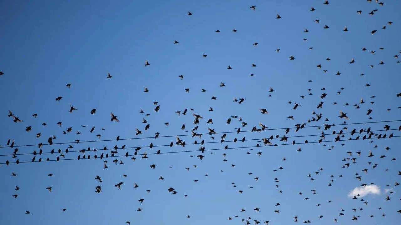 REGIONS/Роман Малышенко