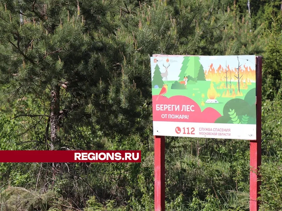 Фото: REGIONS/Василий Тремасов
