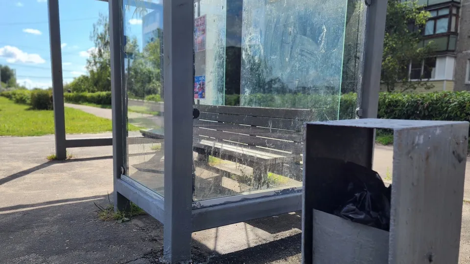 Фото: Светлана Плотникова