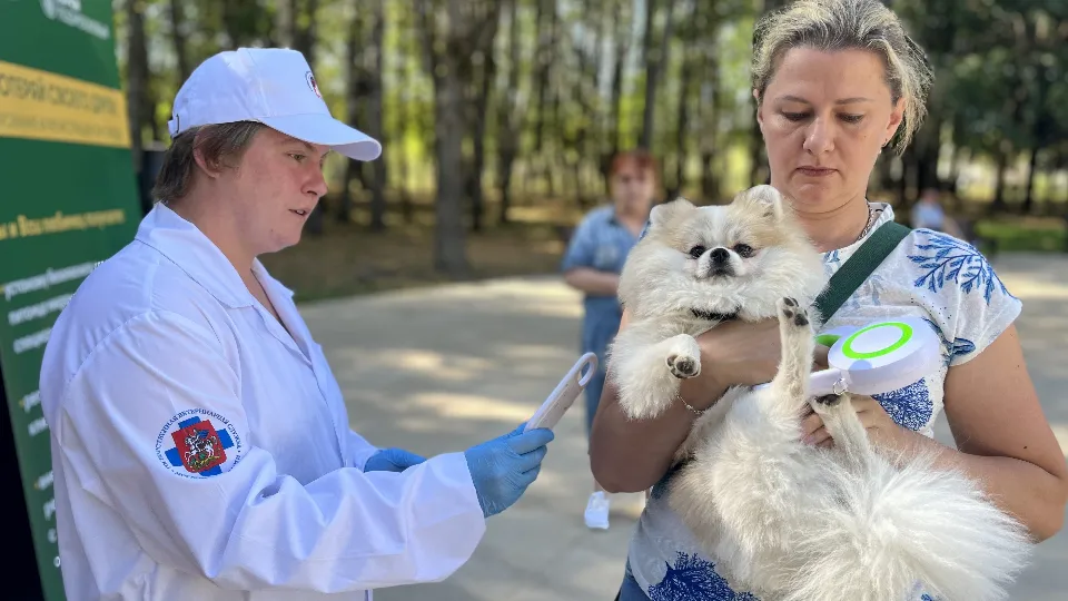 Фото: МедиаБанк Подмосковья/Анна Тюрюмина