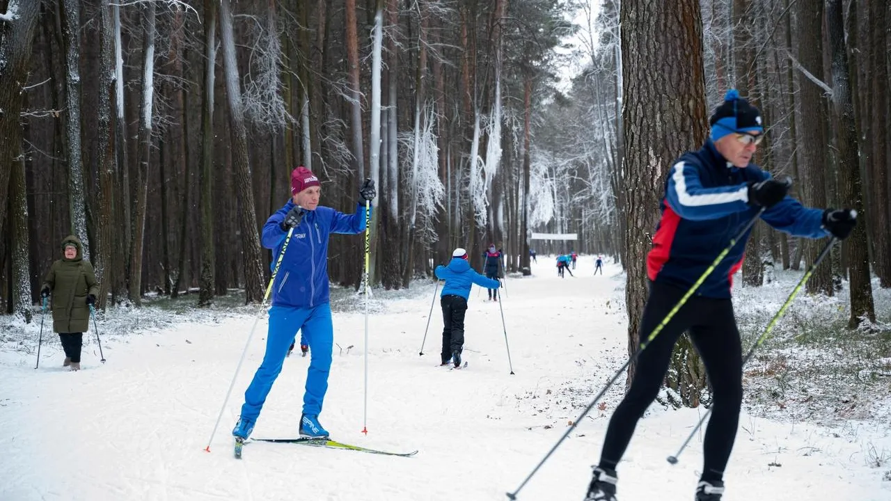 Фото: ИА «Все новости Лыткарино»