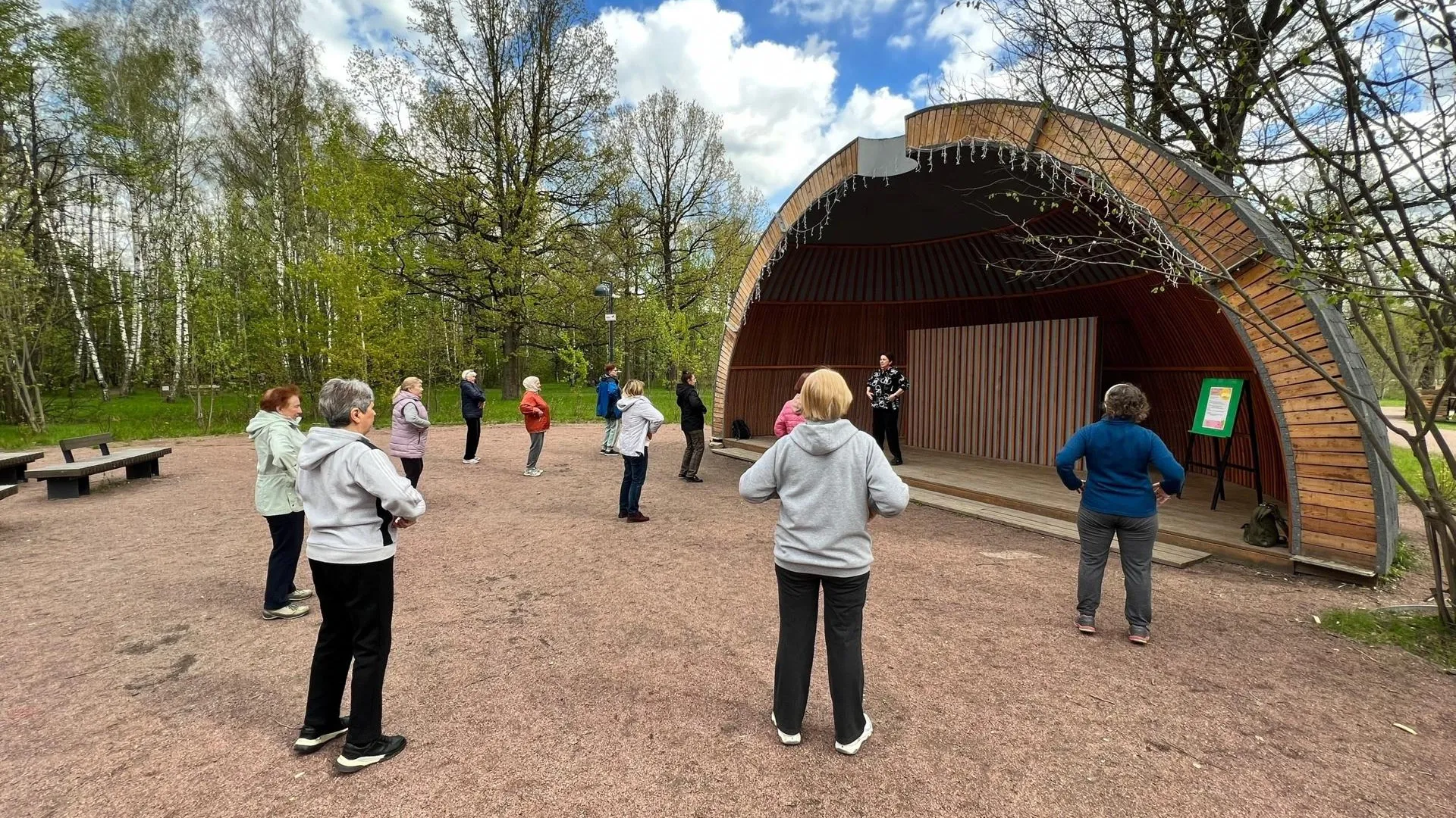 Фото: Фрязинский лесопарк