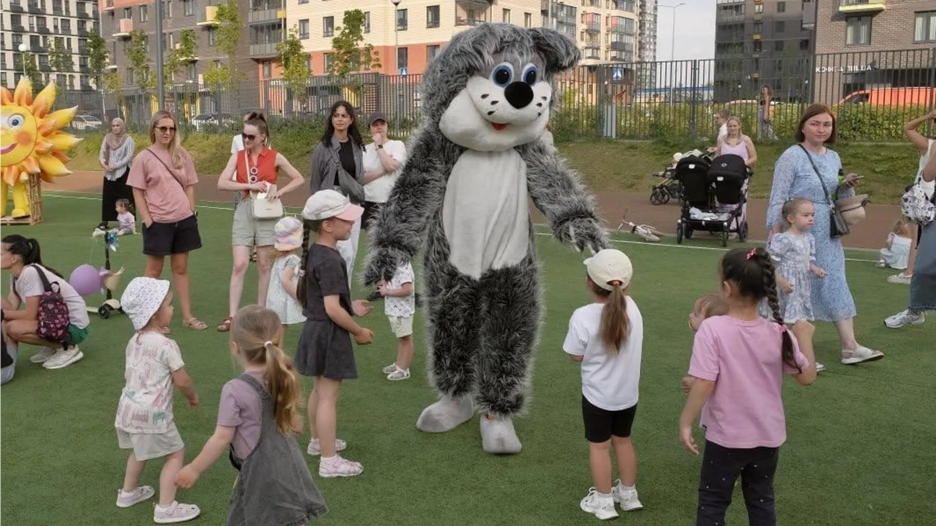 Фото: пресс-служба администрации г.о. Красногорск
