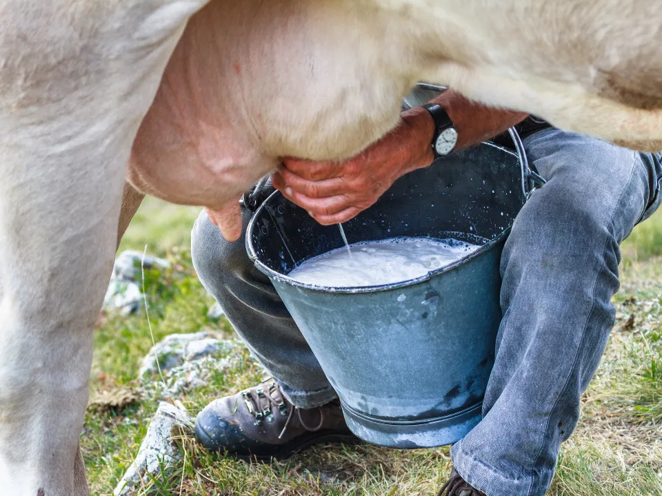 Фото: istockphoto.com