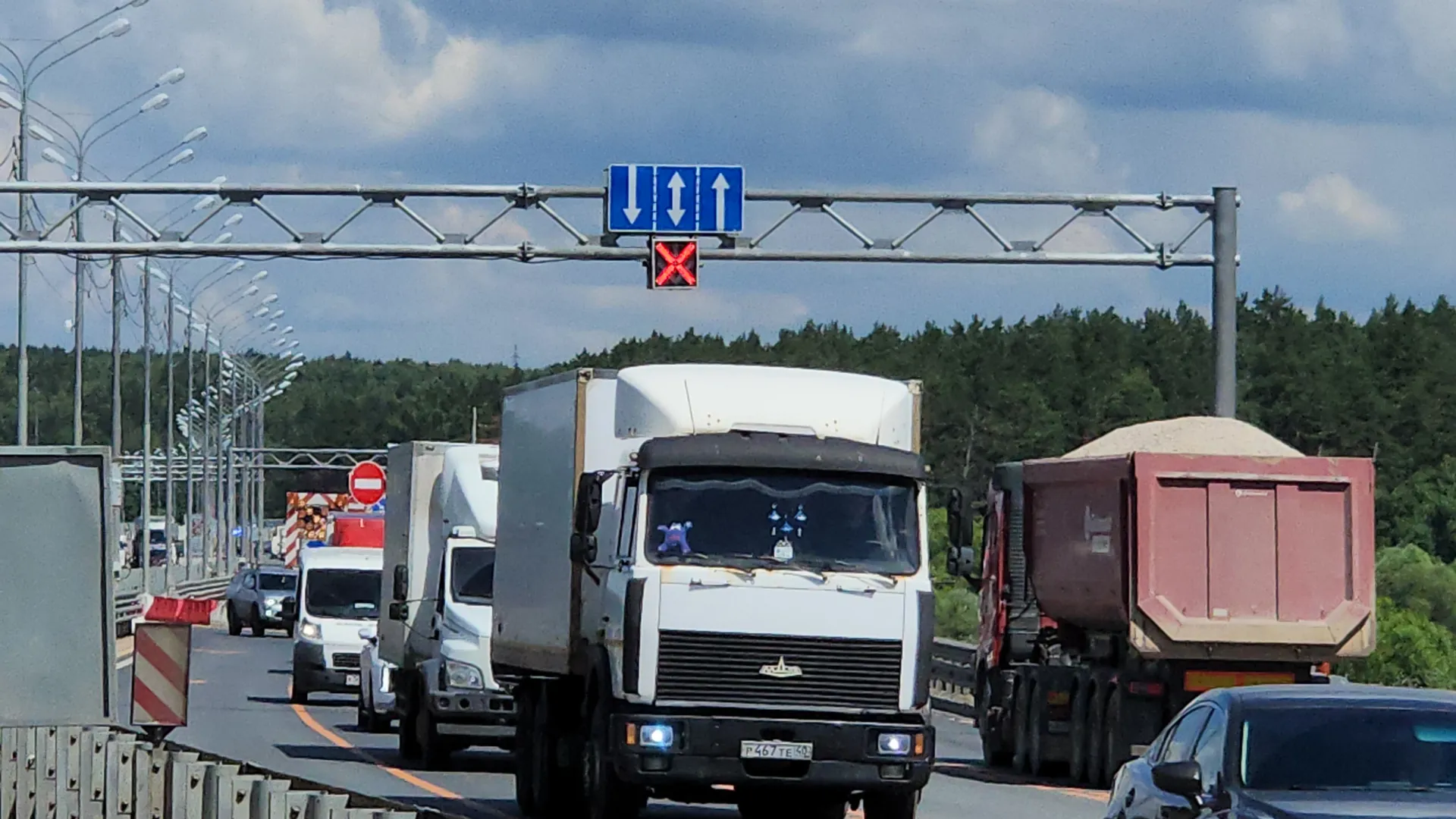 Фото: МедиаБанк Подмосковья/Гореловский Валерий