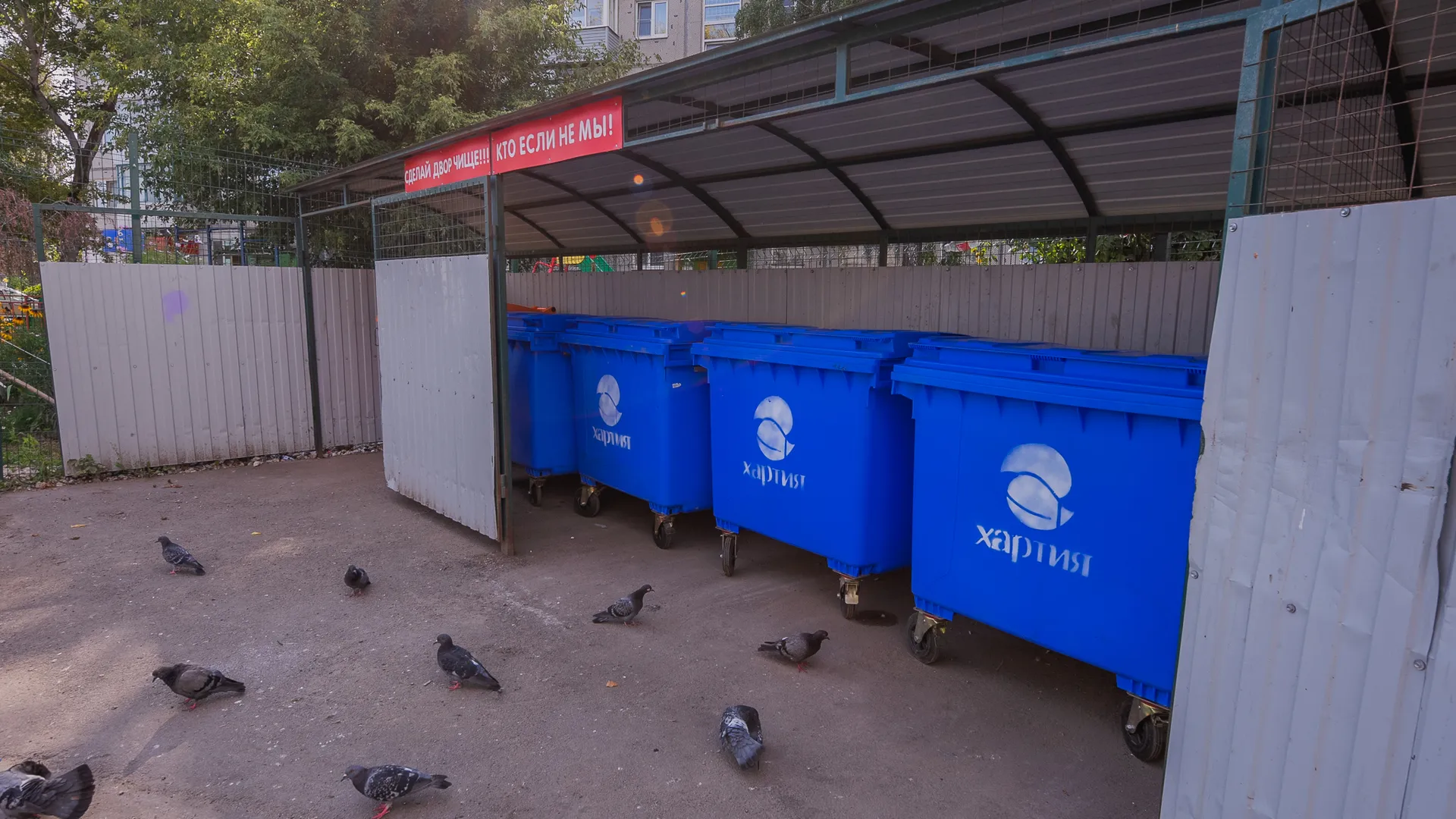 Раздельный сбор отходов на контейнерных площадках