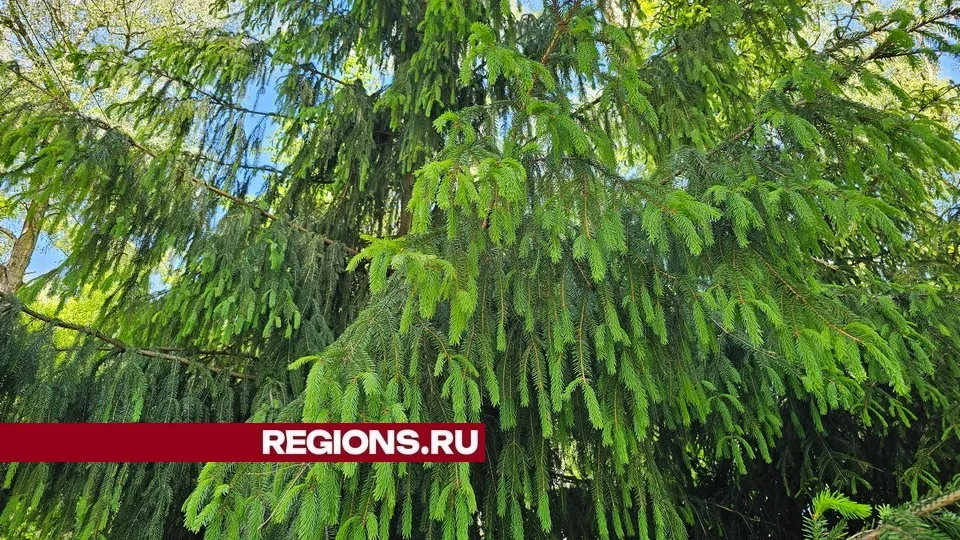 Фото: Александр Дрожжин