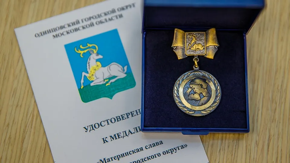 Фото: пресс-служба администрации Одинцовского городского округа