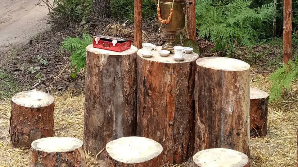 Фото:  ГКУ МО «Мособллес»