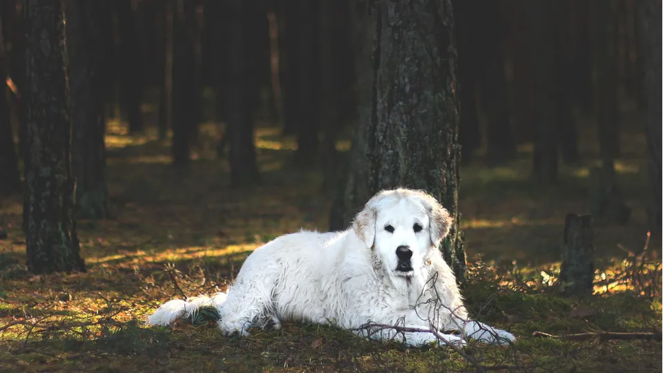 Фото: freepik.com