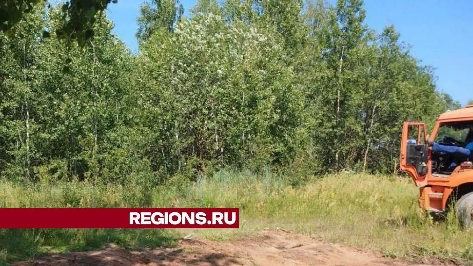 Фото: пресс-служба администрации городского округа Луховицы