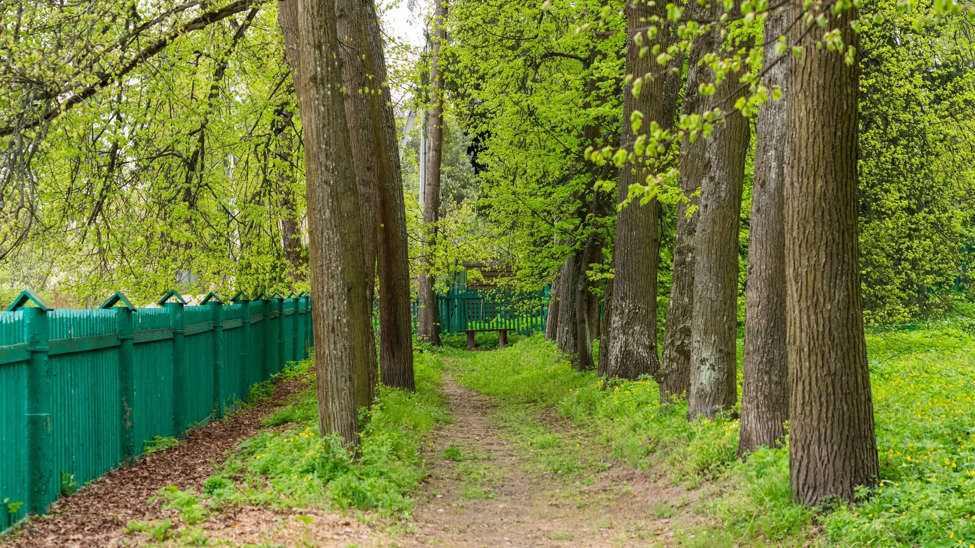 Фото: Медиаархив Подмосковья