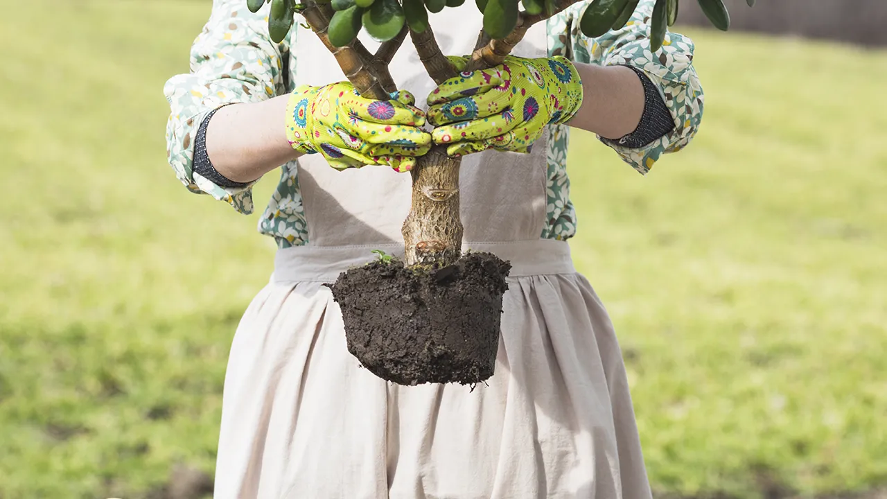 Фото: freepik.com