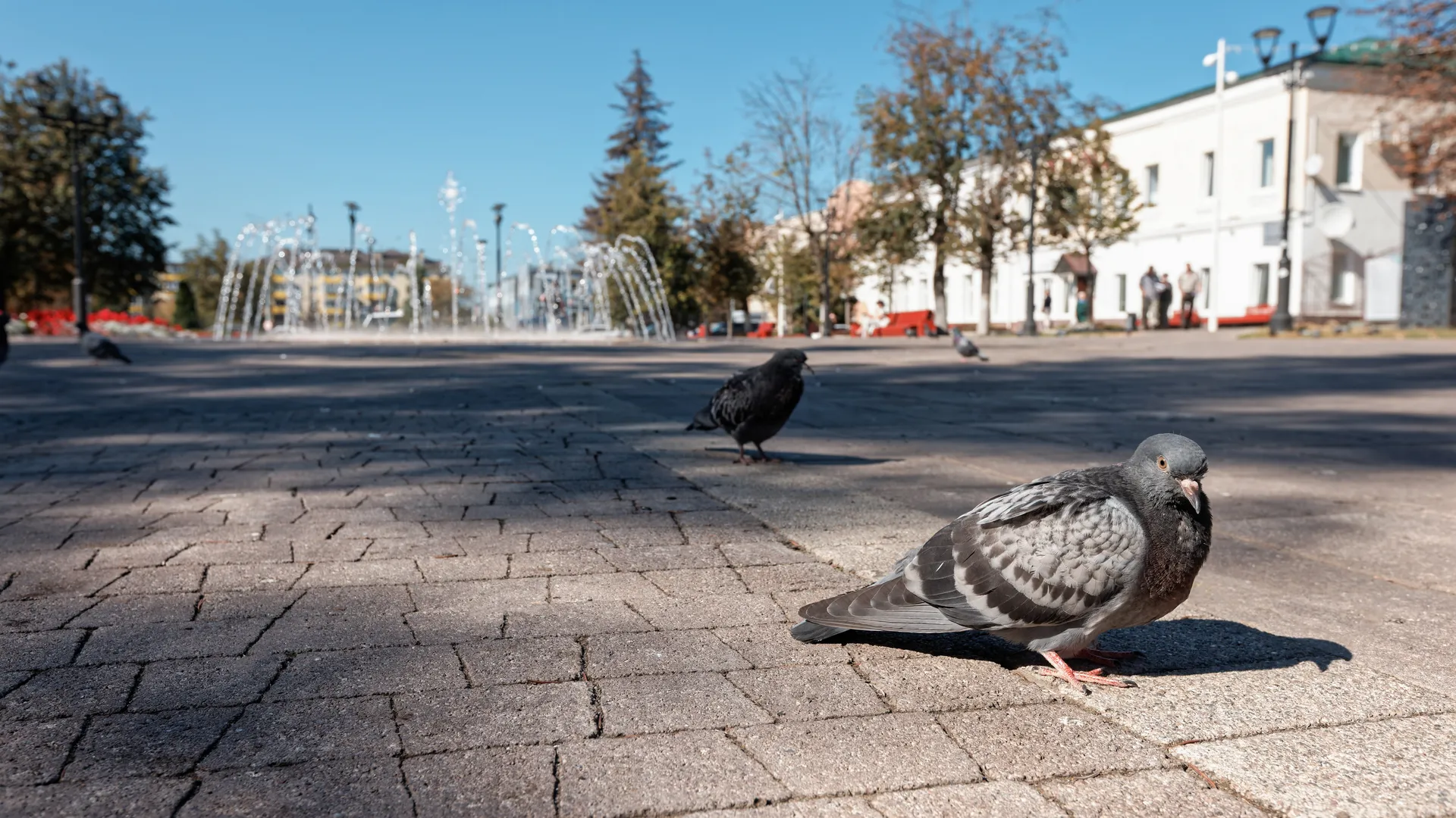 Фонтан «Желтые облака» в Истре