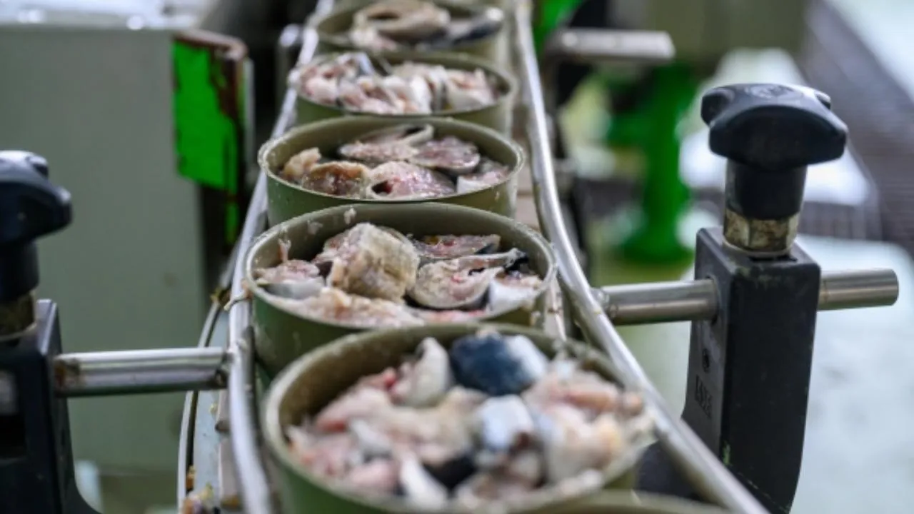 Число нарушений в сфере производства пищевой продукции выросло в России