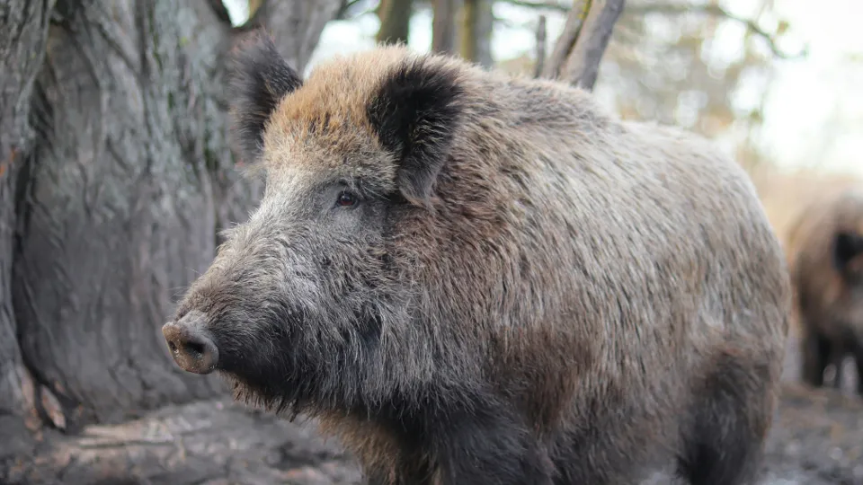 Фото: unsplash.com